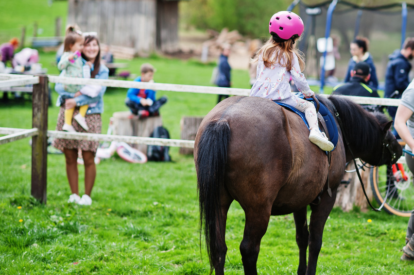 girl in pink helmet ride pony.
