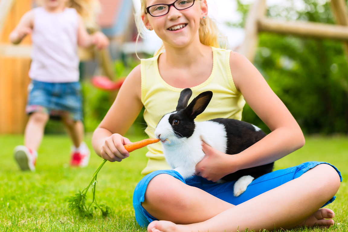 Happy Child with Bunny Pet 